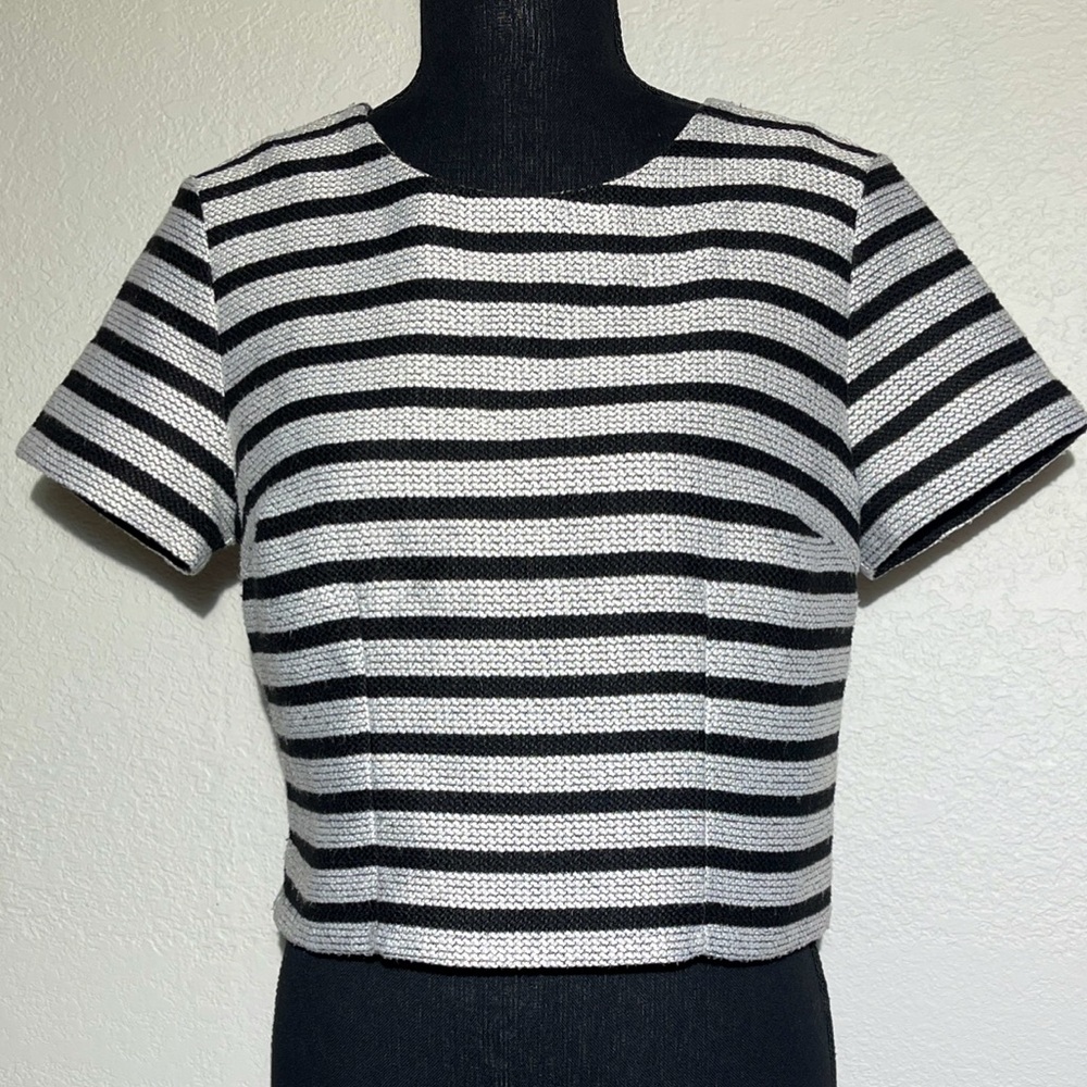 Express Crop Stripped Top